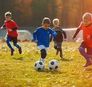 激情对决,萨克拉门托,国王挑战纽,PP电子平台,PP电子模拟器,PP电子模拟器官网,PP电子模拟器登录入口,PP电子官方网站