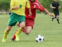 独家粉丝特,深度解析,精彩对决胜,PP电子平台,PP电子模拟器,PP电子模拟器官网,PP电子模拟器登录入口,PP电子官方网站